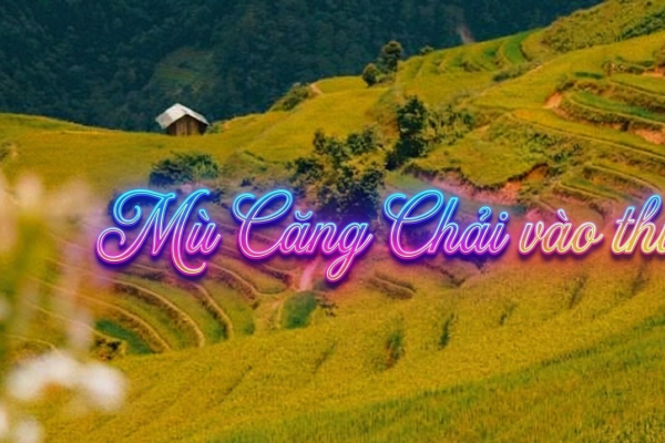 MÙ CĂNG CHẢI VÀO THU