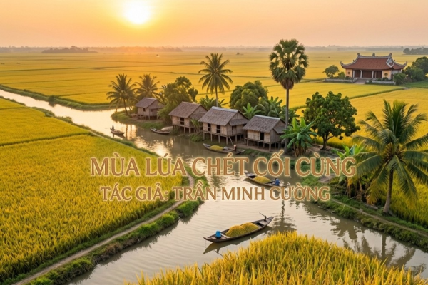 MÙA LÚA CHÉT CUỐI CÙNG