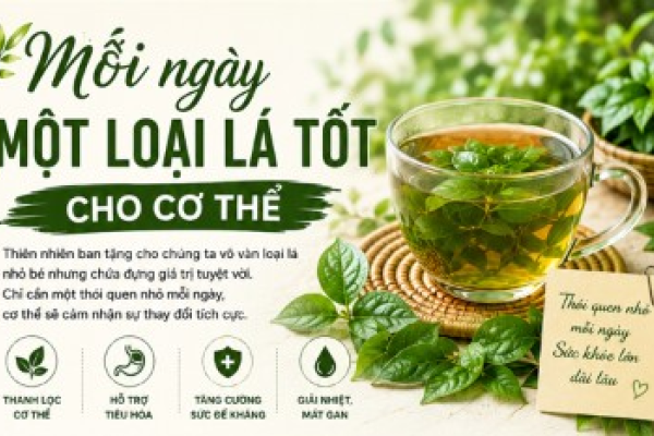 Cách Nấu Chi Tiết 7 Loại Lá Tốt Cho Cơ Thể